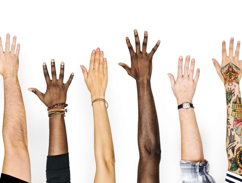 Diversity and Tolerance Properly Understood and Pursued