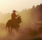 Lonesome Dove: ‘…hate rude behavior in a man. …won’t tolerate it.’