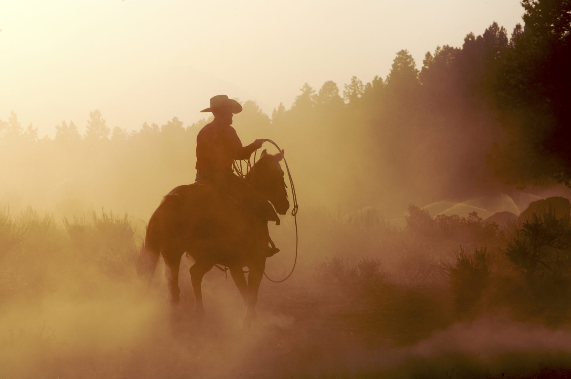 Lonesome Dove: ‘…hate rude behavior in a man. …won’t tolerate it.’