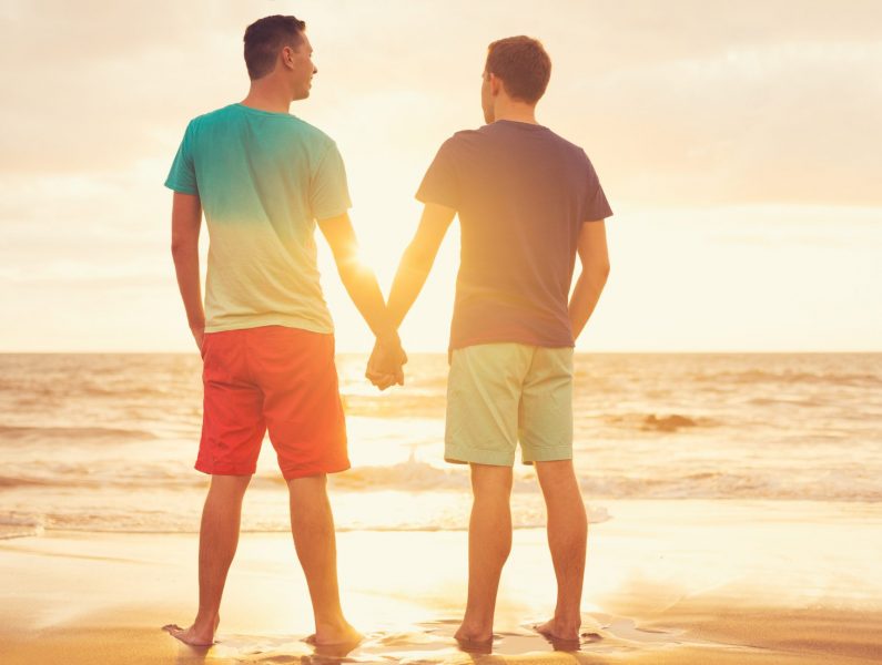 Guy’s Guide to Gay Guys