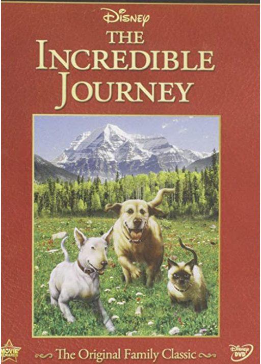 The Incredible Journey