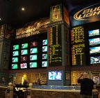 Sports Betting Basics