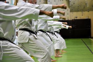 The Best Martial Arts for Every Goal