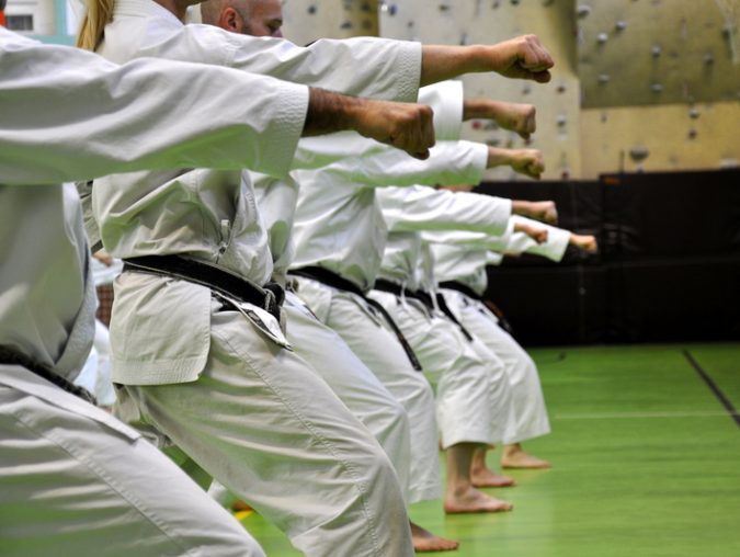 The Best Martial Arts for Every Goal