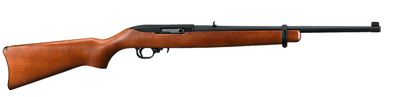 Your First Rifle – This is the One