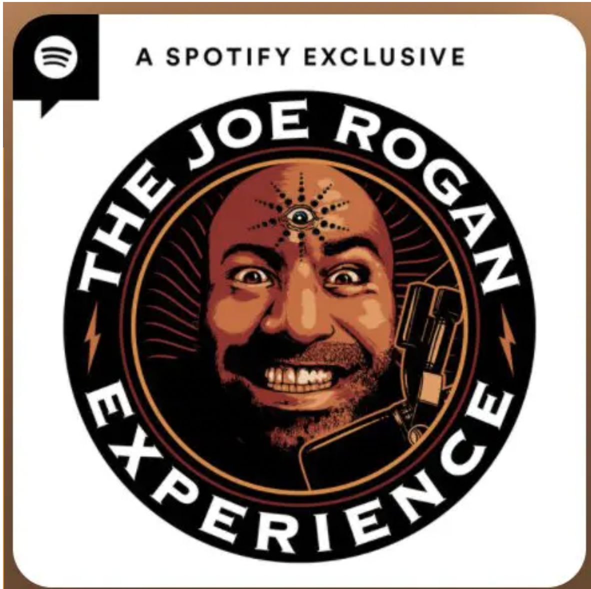 Experiencing the Joe Rogan Experience: Guest Jordan Peterson